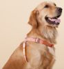 Touchdog 'Macaron' 2-in-1 Durable Nylon Dog Harness and Leash